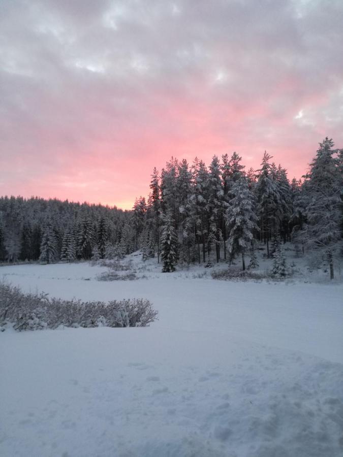 Presterudveien 125 Vikersund ภายนอก รูปภาพ
