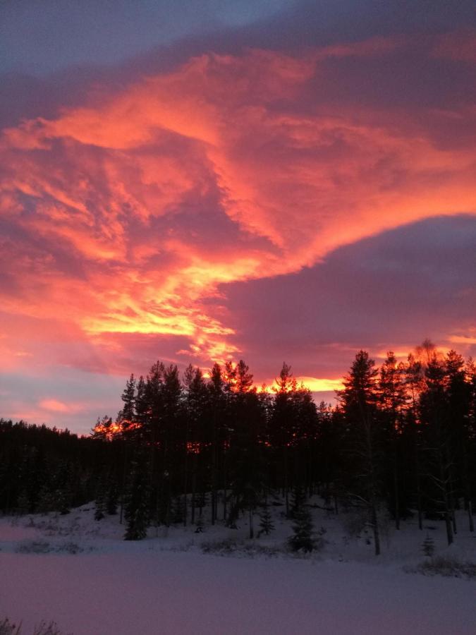 Presterudveien 125 Vikersund ภายนอก รูปภาพ