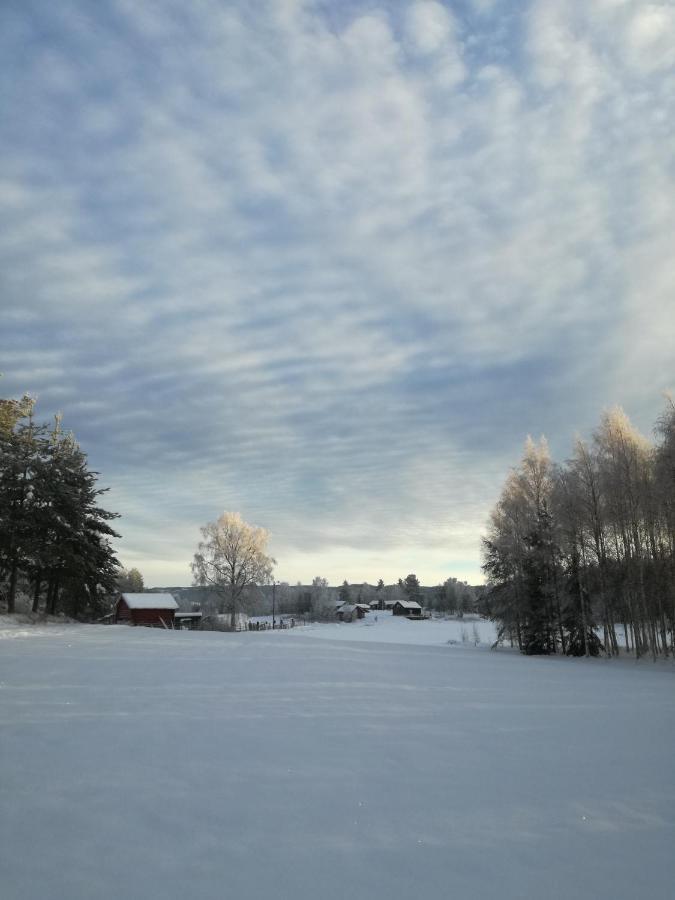 Presterudveien 125 Vikersund ภายนอก รูปภาพ